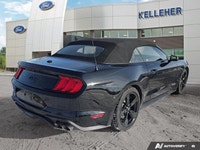 Feel the unadulterated power and freedom of the 2022 Ford Mustang GT Premium Convertible, an exhilar... (image 4)