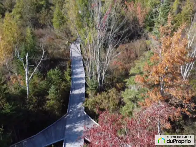 $249,000 - Price taxes not included - Residential Lot for sale in Land for Sale in Thetford Mines - Image 5