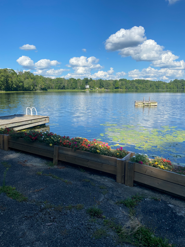 Peace and Tranquility on Lyndhurst Lake -Waterfront Cottages in Ontario in Canada - Image 5