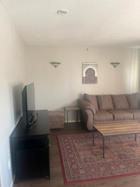 Fully Furnished 2 Bedroom Central-Parking/Balcony/Laundry