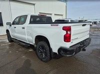 Experience true capability and rugged design with the 2024 Chevrolet Silverado 1500 Custom Trail Bos... (image 1)