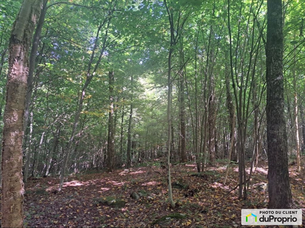 $220,000 - Price taxes included - Residential Lot in Bolton-Est — photo 3