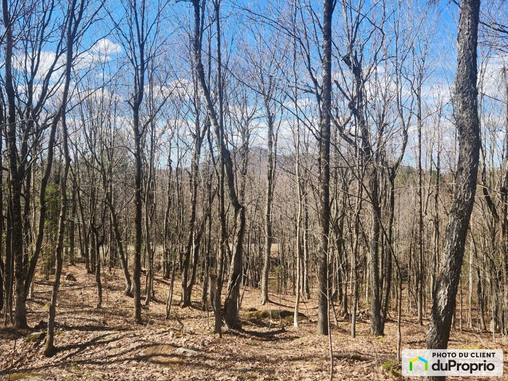 $79,900 - Residential Lot for sale in St-Joseph-De-Ham-Sud — photo 1