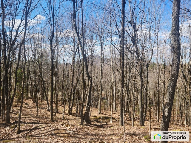 $79,900 - Residential Lot for sale in St-Joseph-De-Ham-Sud — photo 1