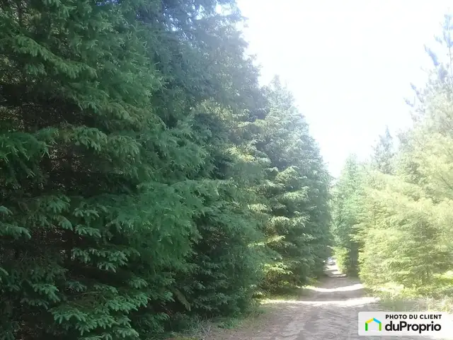 $59,000 - Price taxes not included - Residential Lot in Chertsey in Land for Sale in Laurentides - Image 6