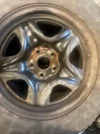 4 Winter Tires on Rims, were on a  2016 Toyota Rav-4