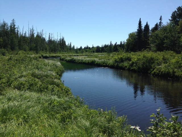 Large  Woodland parcel in Lynnfield on canoeable trout stream in Land for Sale in Saint John