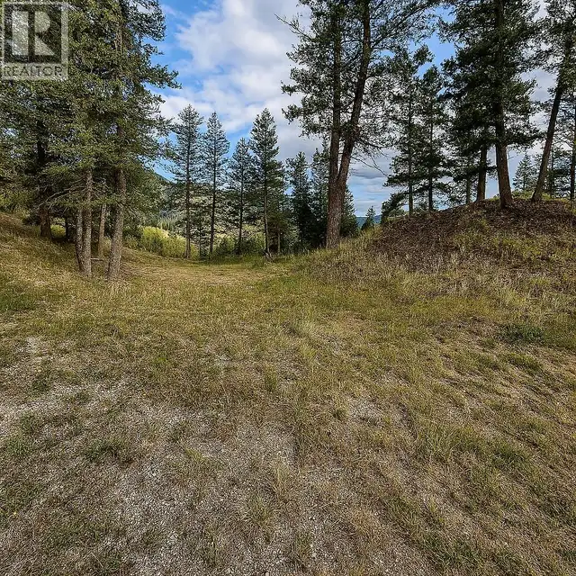 2400 KOOTENAY RD NO 3 Road Lot# 2 Windermere, British Columbia in Land for Sale in Cranbrook - Image 41