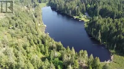 Lakefront Acreage 5.02 on Blind Lake. Approx 500 feet of frontage. Two Homes allowed. 8 GPM well. Le...