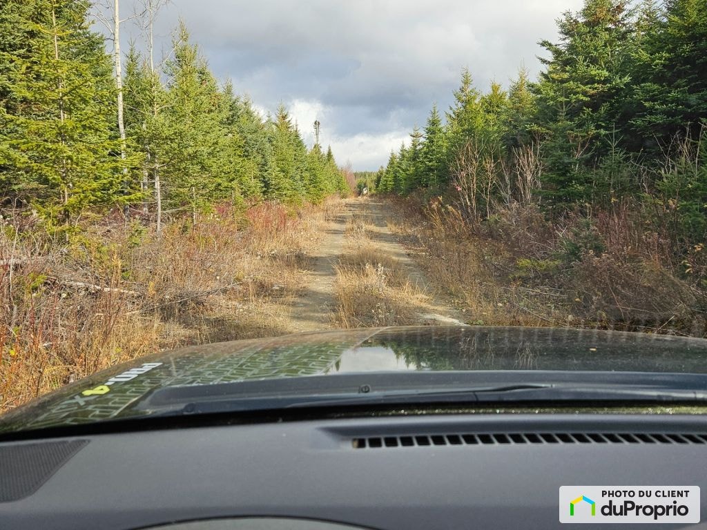 $398,000 - Cottage for sale in Les Méchins — photo 3