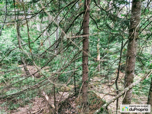$129,900 - Land to be developed in Ste-Marguerite-Du-Lac-Masson — photo 2