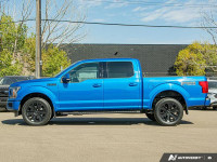 Leather Seats, Cooled Seats, Aluminum Wheels, Apple CarPlay, Android Auto, Ford Co-Pilot360, Dynamic... (image 2)