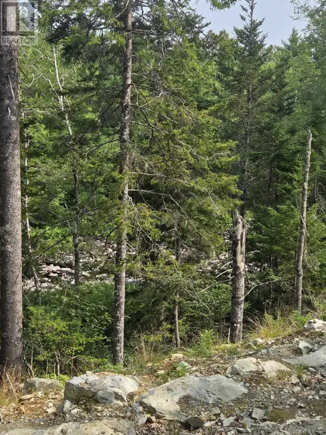 Highway 103 Sable River, Nova Scotia in Land for Sale in Yarmouth - Image 13