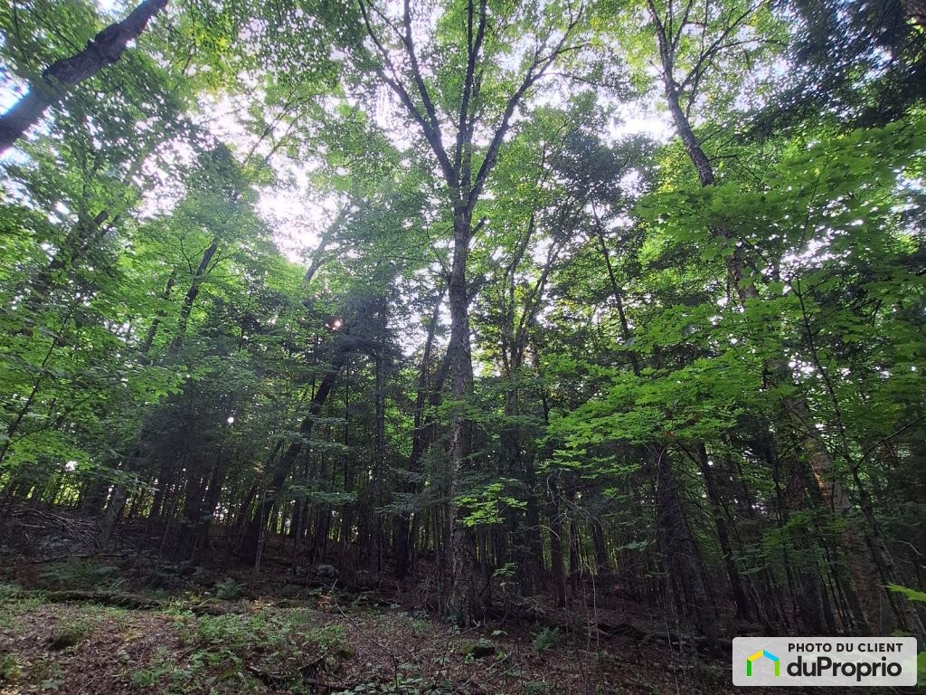 $214,000 - Residential Lot for sale in La Minerve — photo 3