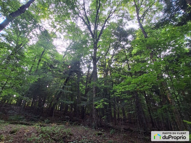 $214,000 - Residential Lot for sale in La Minerve — photo 3