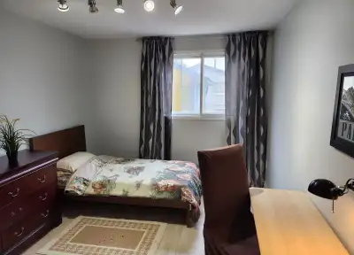 1Br Aprtment in Hamilton