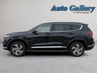 RELIABLE, COMFORTABLE, SAFTEY FIRST Experience comfort, safety, and confidence in this 2023 Hyundai... (image 1)