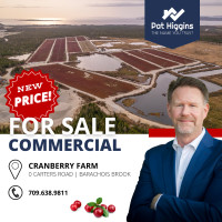 Commercial Cranberry Farm for Sale! Corner Brook Newfoundland Prévisualiser