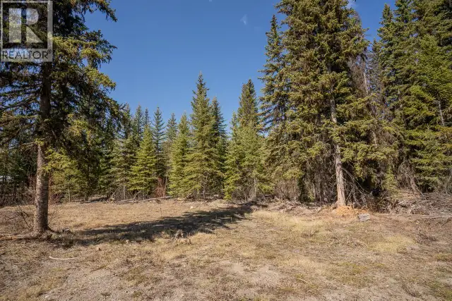 6301 ARCHIE MEADOW ROAD Forest Grove, British Columbia in Land for Sale in 100 Mile House - Image 4
