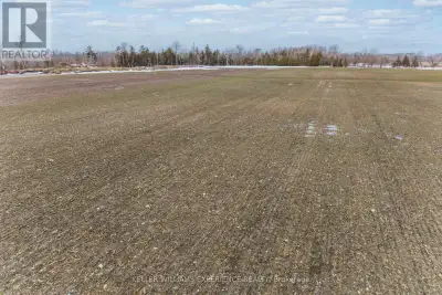 78 acres of prime agricultural land in the heart of Springwater Township. This highly productive far...