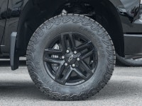 6-Way MultiFlex Tailgate | Off-Road Assist Steps | Spray-On Bedliner | Dual Exhaust | Rear Seat Stor... (image 4)
