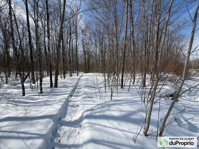 $255,000 - Residential Lot for sale in Eastman — photo 3