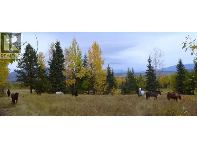 DL5277 DAY ROAD Horsefly, British Columbia in Land for Sale in Williams Lake - Image 37