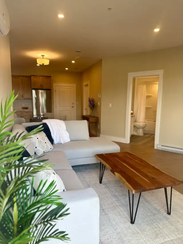 New Dog Friendly Concrete Building with FREE rent! in Long Term Rentals in Fredericton - Image 3