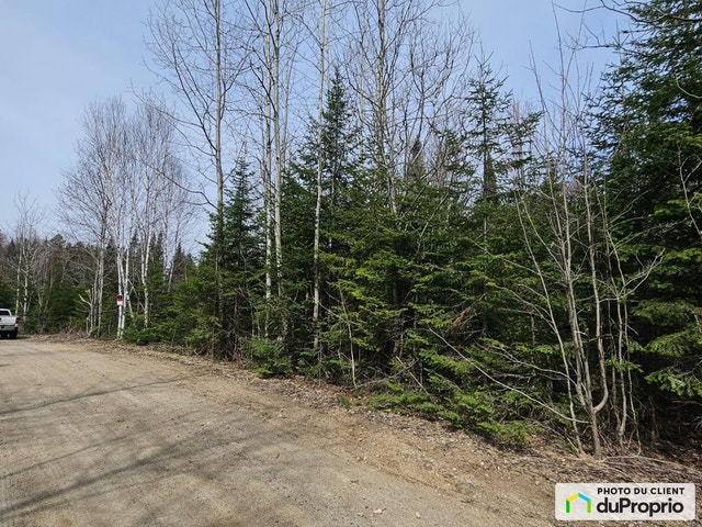 $105,000 - Residential Lot for sale in St-Adolphe-D'Howard — photo 2