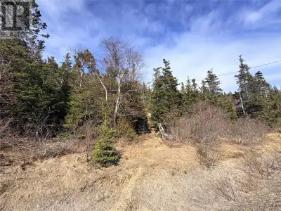 This large parcel of land offers a great opportunity to build your dream home. Only 20 minutes from...