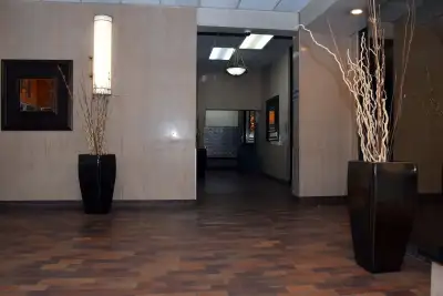 Appartements Studio (1 1/2) ou Une chambre a coucher à louer en plein coeur du plateau mont-royal av...