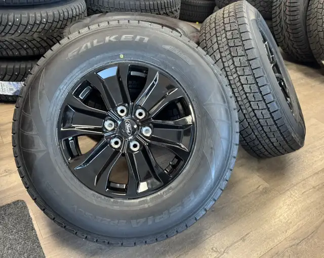 2005–2026 Ford F-150 / Expedition Winter Rim &  Tires in Tires & Rims in Edmonton - Image 4