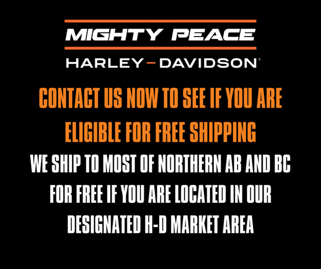 2006 Harley-Davidson 1200 Custom in Sport Bikes in Grande Prairie - Image 5