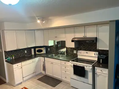 3 Gemmell crt stratford. 2 bedroom, 1 bath, laundry room, internet included, Available June 1st. $19...