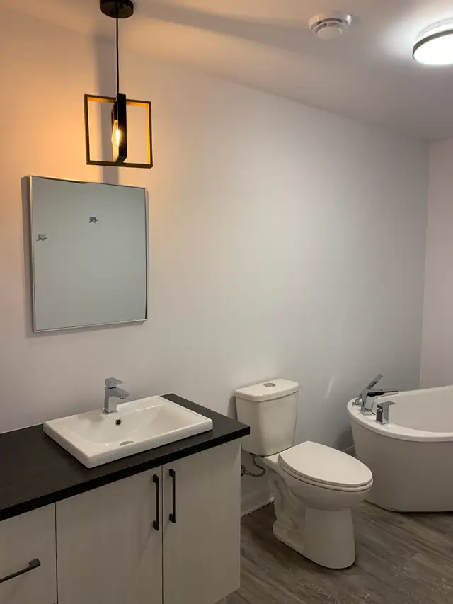 MAGINIFQUES 5 1/2 DISPONIBLES IMMÉDIATEMENT, JUIN OU JUILLET in Long Term Rentals in Saint-Jean-sur-Richelieu - Image 6