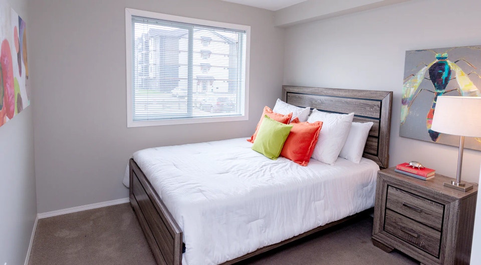 Pet-Friendly Two Bedroom One Bath with In-suite Laundry for Rent 5