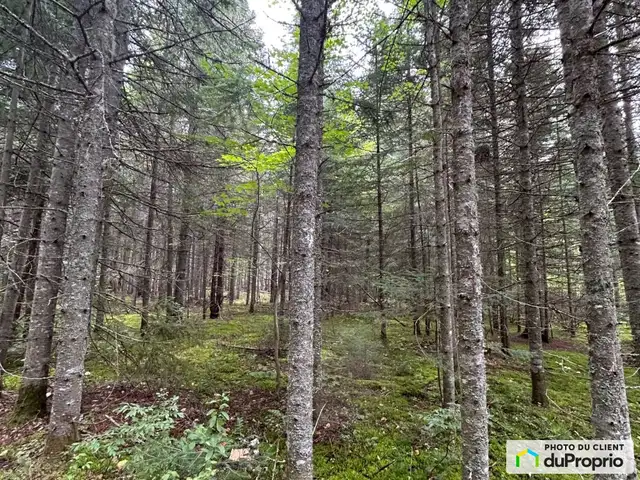 $125,000 - Residential Lot for sale in St-Donat62863773778177123