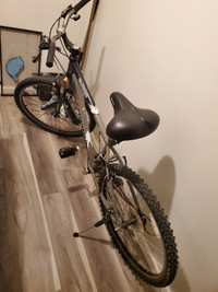Mens Bicycle Nelson British Columbia Preview