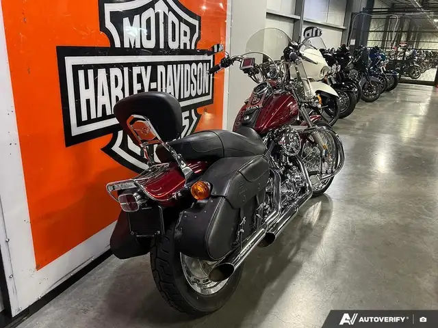 2000 Harley-Davidson FXDWG DYNA WIDE GLIDE in Street, Cruisers & Choppers in Calgary - Image 6