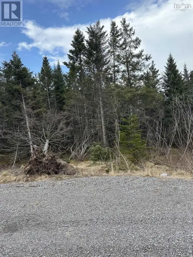 21-1 Mary Cecelia Ridge St Andrew's, Nova Scotia in Land for Sale in New Glasgow - Image 2