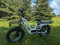 Fucare 1000W Cargo Ebike 51 km/h 120 km Range Free Shipping