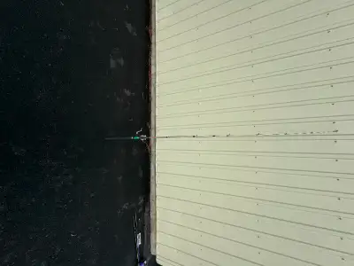 Fishing Rod's & Reels, View more