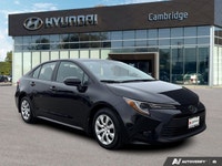 This Toyota Corolla delivers a Regular Unleaded I-4 2.0 L/121 engine powering this Variable transmis... (image 6)