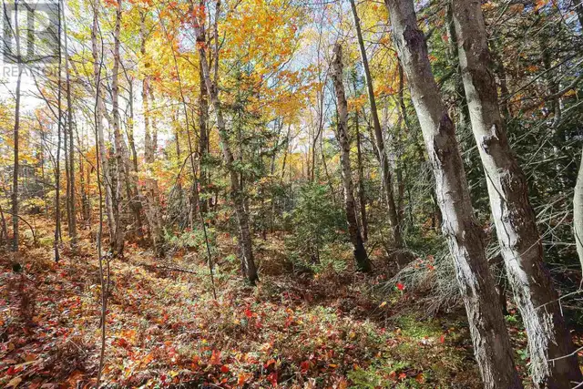 Lot 19 Nokomis Beach RD Sault Ste. Marie, Ontario in Land for Sale in Sault Ste. Marie - Image 7