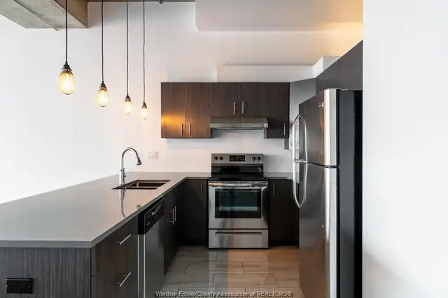 Rare Find! Spacious, stunning renovated LOFT in Long Term Rentals in Windsor Region - Image 13