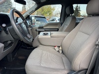 Double L Motors Ltd. FOR SALE: 2020 Ford F-150 XLT Crew Cab 4x4 – 5.0L V8 Power & Built Ford Tough!... (image 9)