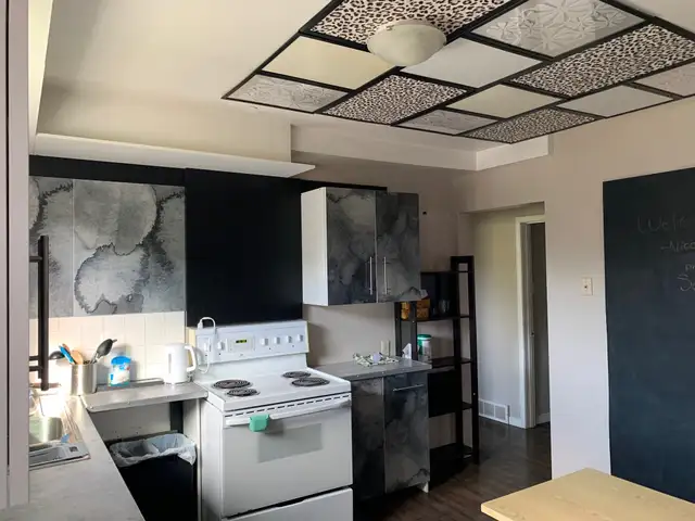 3-38 Marshall St in Long Term Rentals in Kitchener / Waterloo - Image 6
