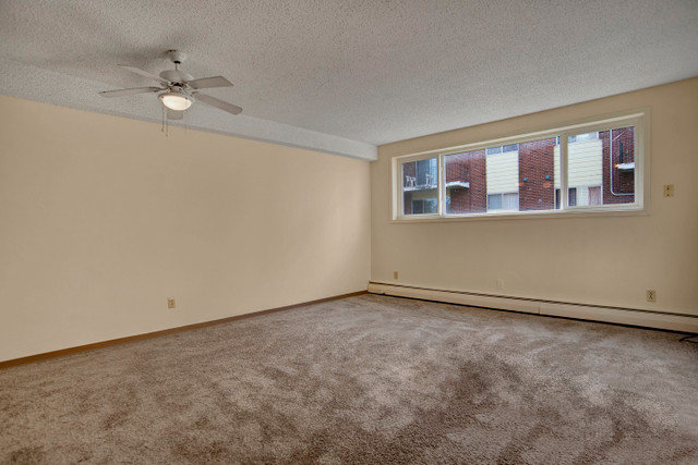 Check Out Our 1 Bedroom Special, Call 306-314-5853. in Long Term Rentals in Prince Albert - Image 4