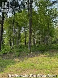 Lot Wegesegum Road Chipman, New Brunswick in Land for Sale in Saskatoon - Image 14