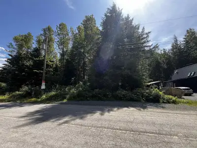 ¼ Acre Flat Treed Building Lot in the Community of Sunshine Valley near Manning Park less than 2 hou...